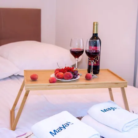 Maya's Flats & 61 - Bridge Gdańsk